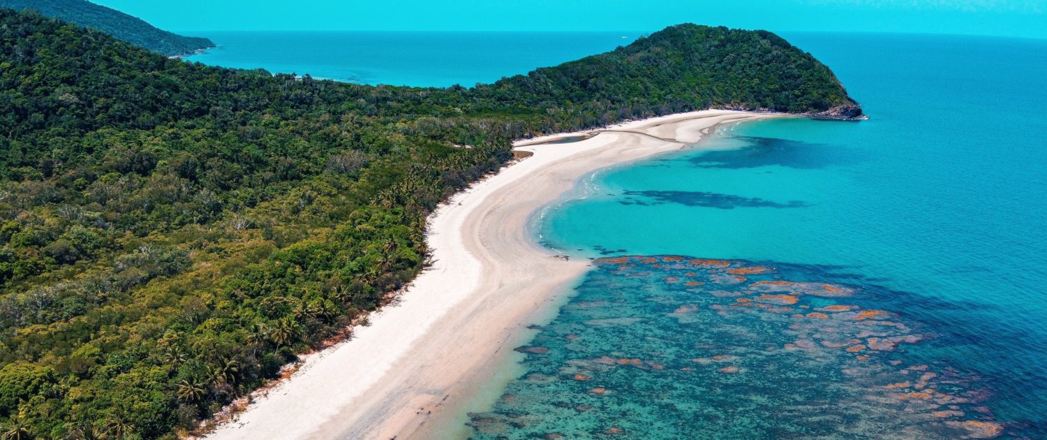 Daintree Rainforest Cape Tribulation Road