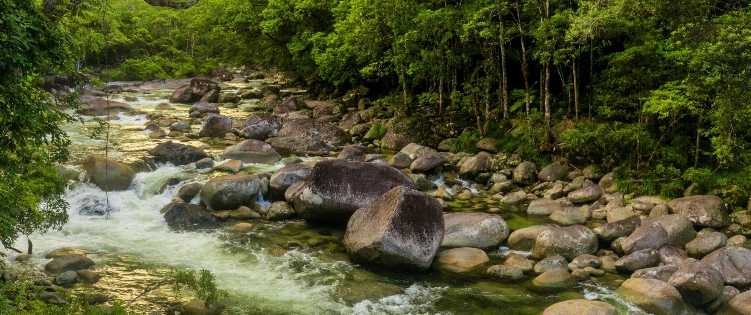 Mossman Gorge Daintree
