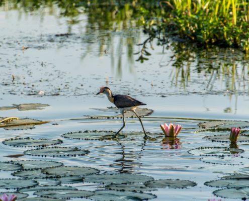 Kakadu National Park