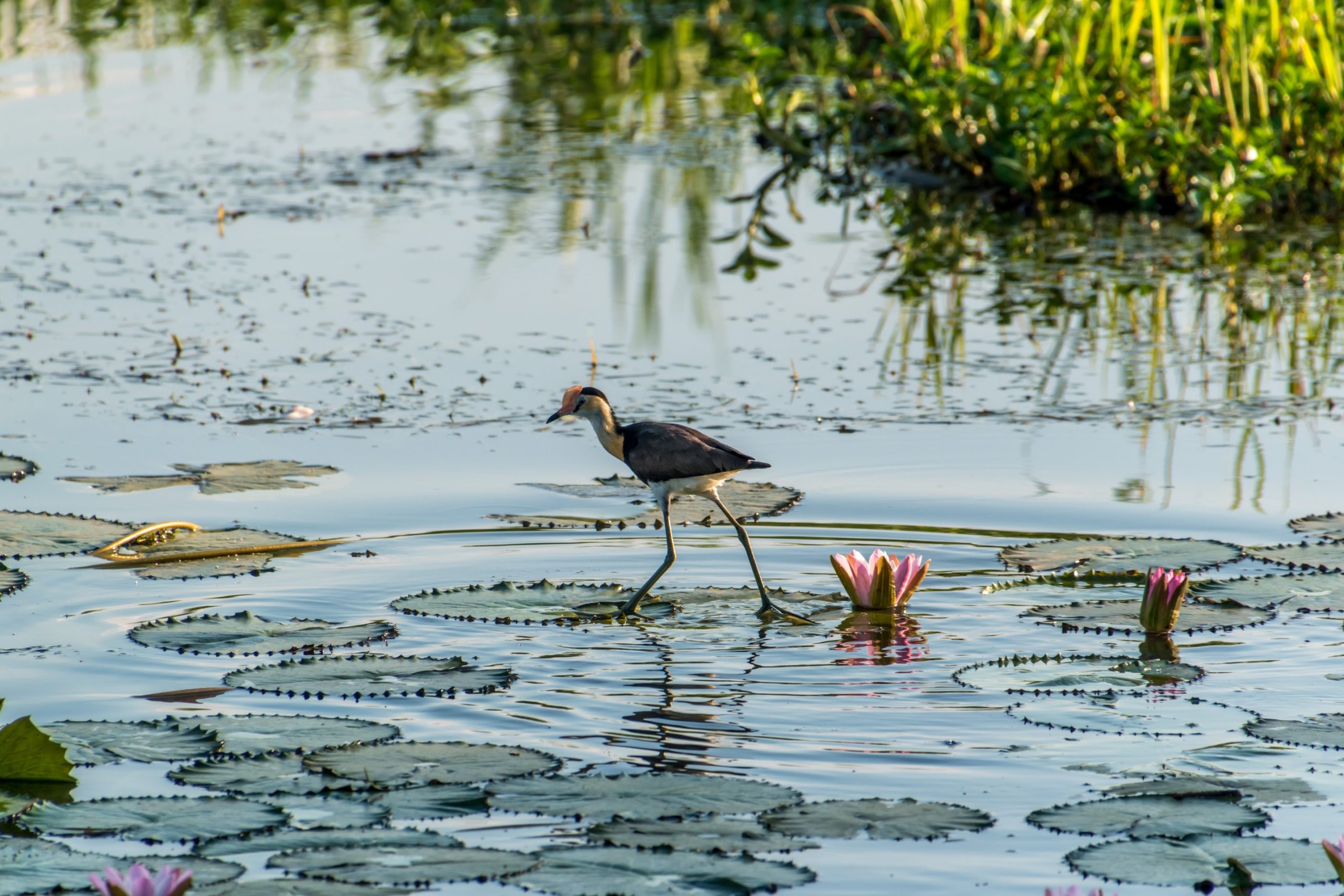Kakadu National Park
