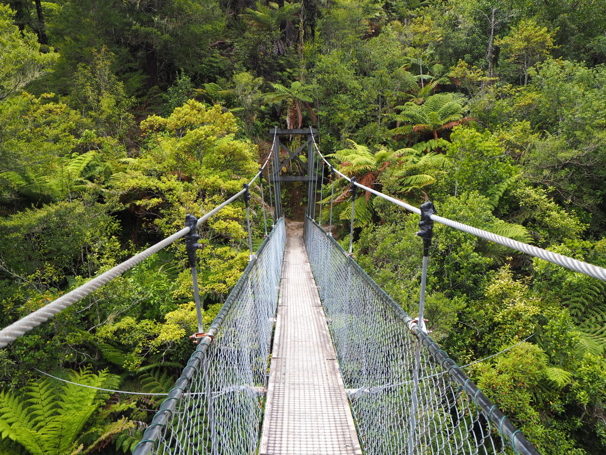 Bridge in the Abel Tasman National Park, New Zealand